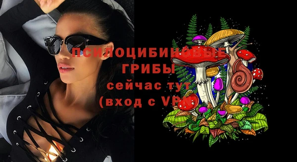 круглые Переславль-Залесский