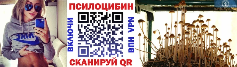 где купить наркотик  Комсомольск  Галлюциногенные грибы Magic Shrooms 